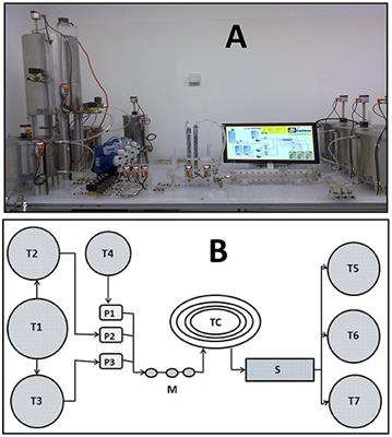 Factorial and Economic Evaluation of an Aqueous Two-Phase Partitioning <mark class="highlighted">Pilot Plant</mark> for Invertase Recovery From Spent Brewery Yeast